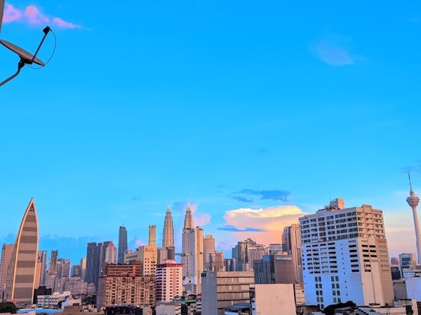 Where can you attend a traditional English falconry display in the Cotswolds?